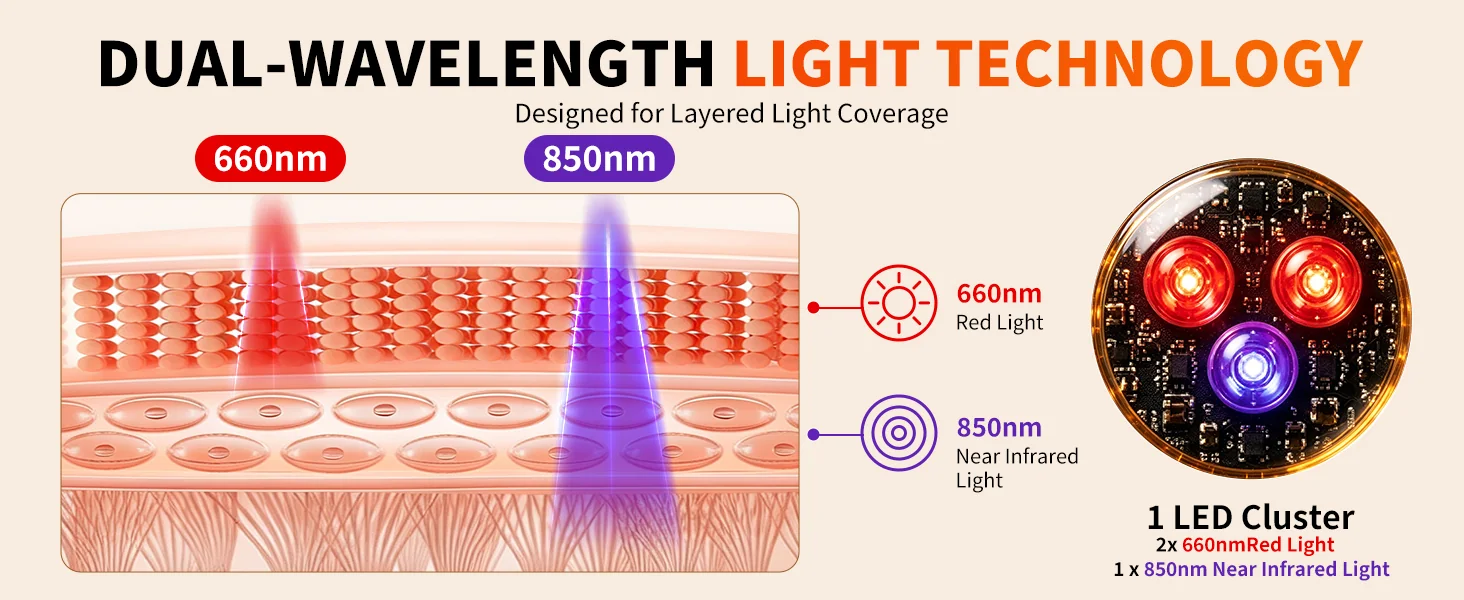 660 and 850 nanometer red light illustration